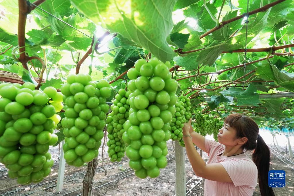 梭哈游戏单机版